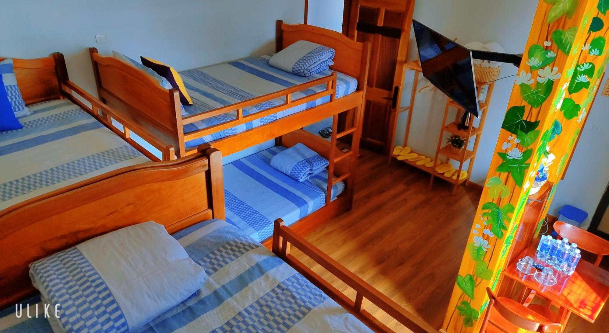 Viet Homestay קוי נון מראה חיצוני תמונה