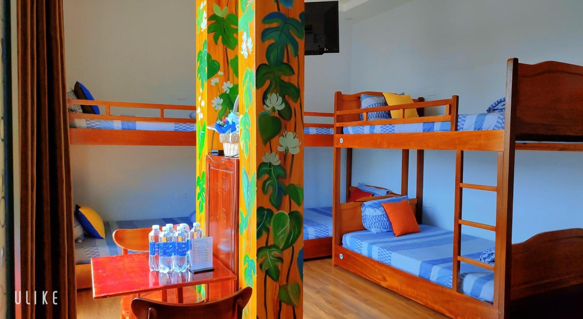 Viet Homestay קוי נון מראה חיצוני תמונה